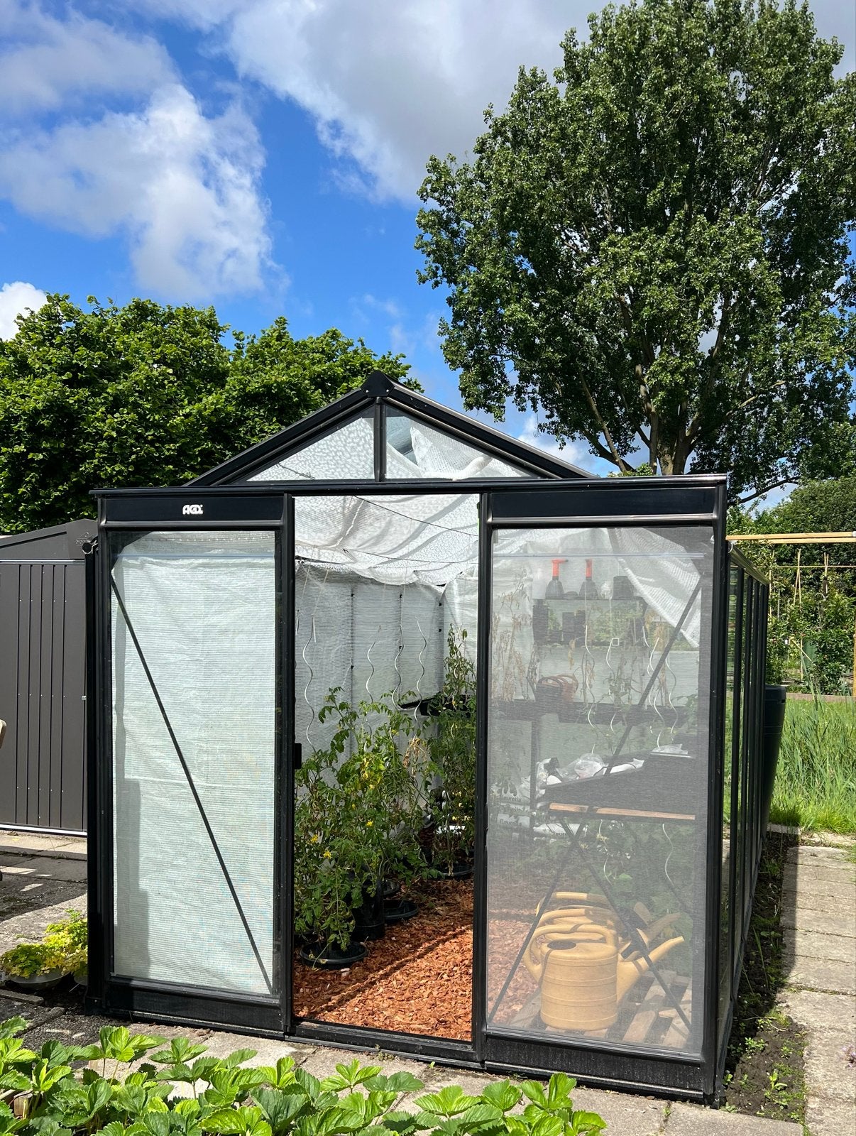 ACD Tuinkas Blackline R205 incl. Originele accessoires, Tuin en Terras, Ophalen, Gebruikt, Kweekkas, Glas