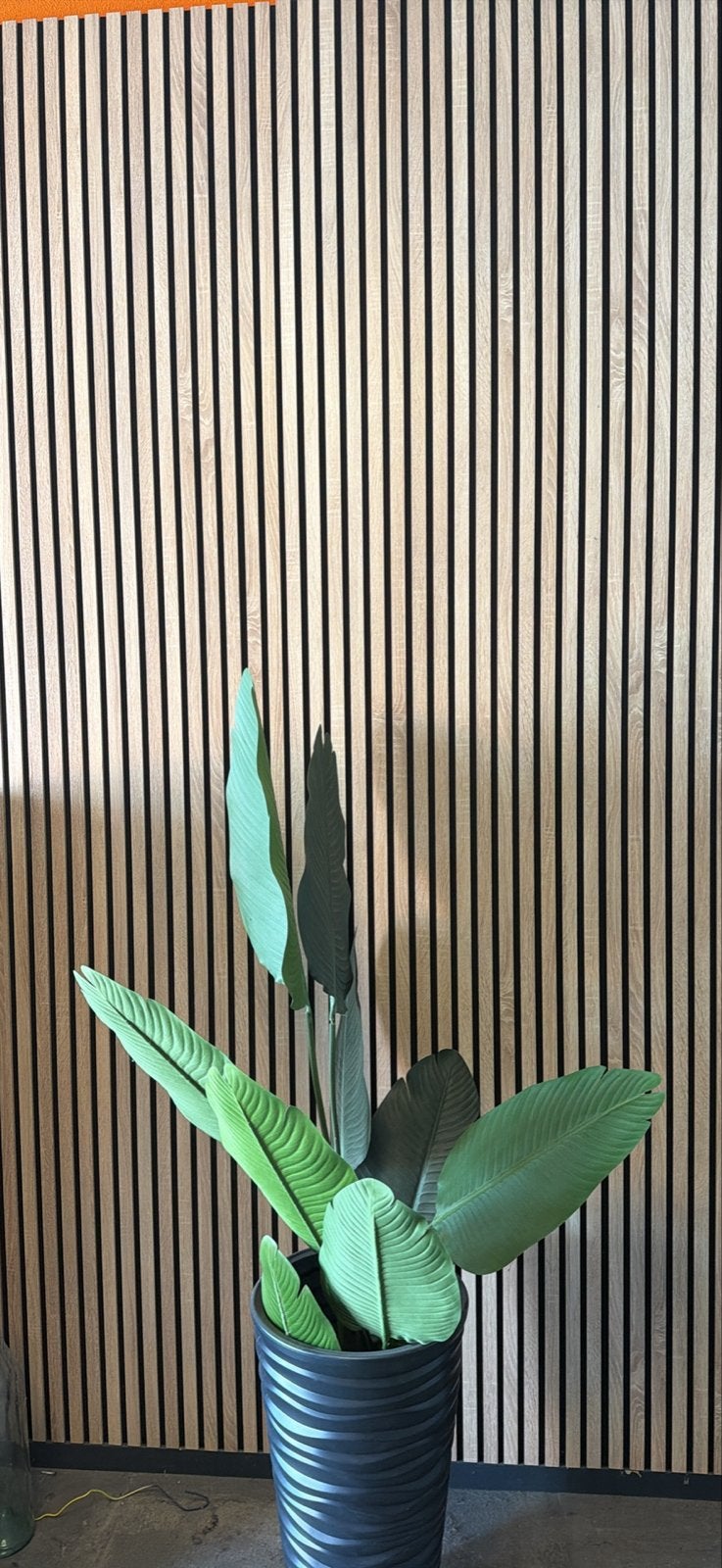 Aanbieding akoestische panelen 260x60, Doe-het-zelf en Verbouw, Hout en Planken, Ophalen, Minder dan 25 mm, Eiken, Overige typen