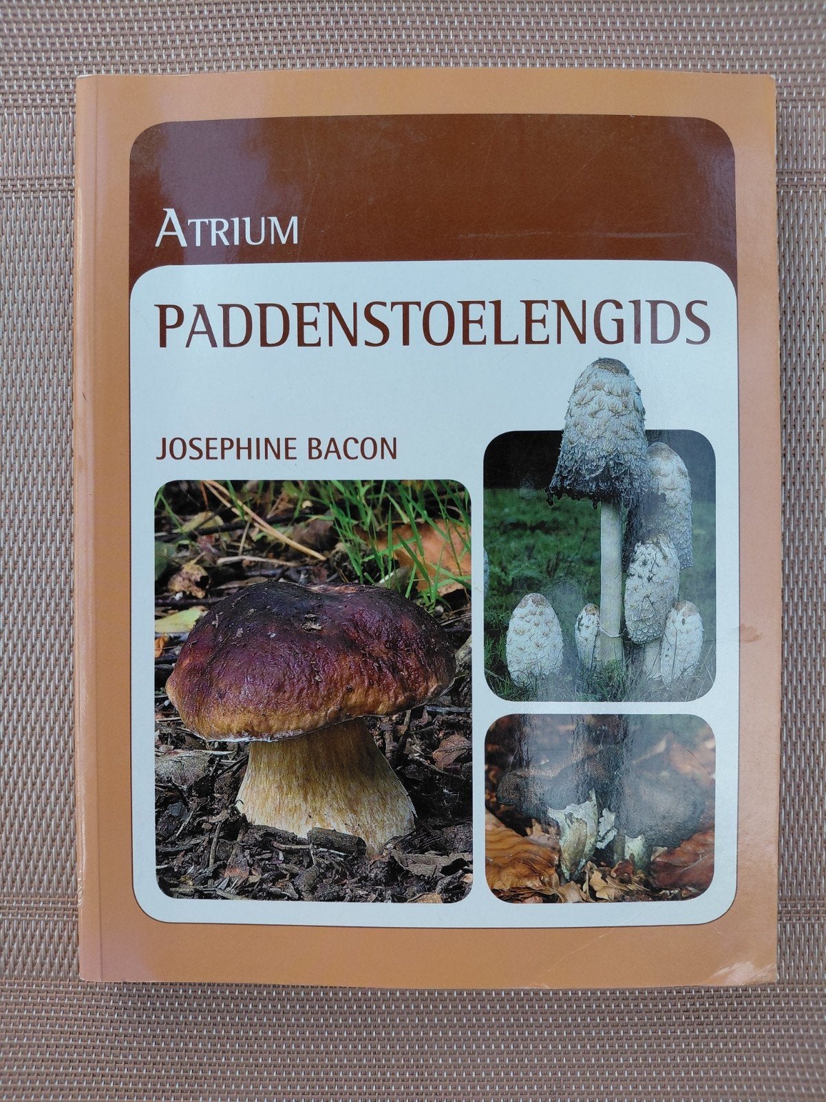 Josephine Bacon - Atrium paddenstoelengids, Boeken, Natuur, Bloemen, Planten en Bomen, Verzenden, Josephine Bacon, Zo goed als nieuw