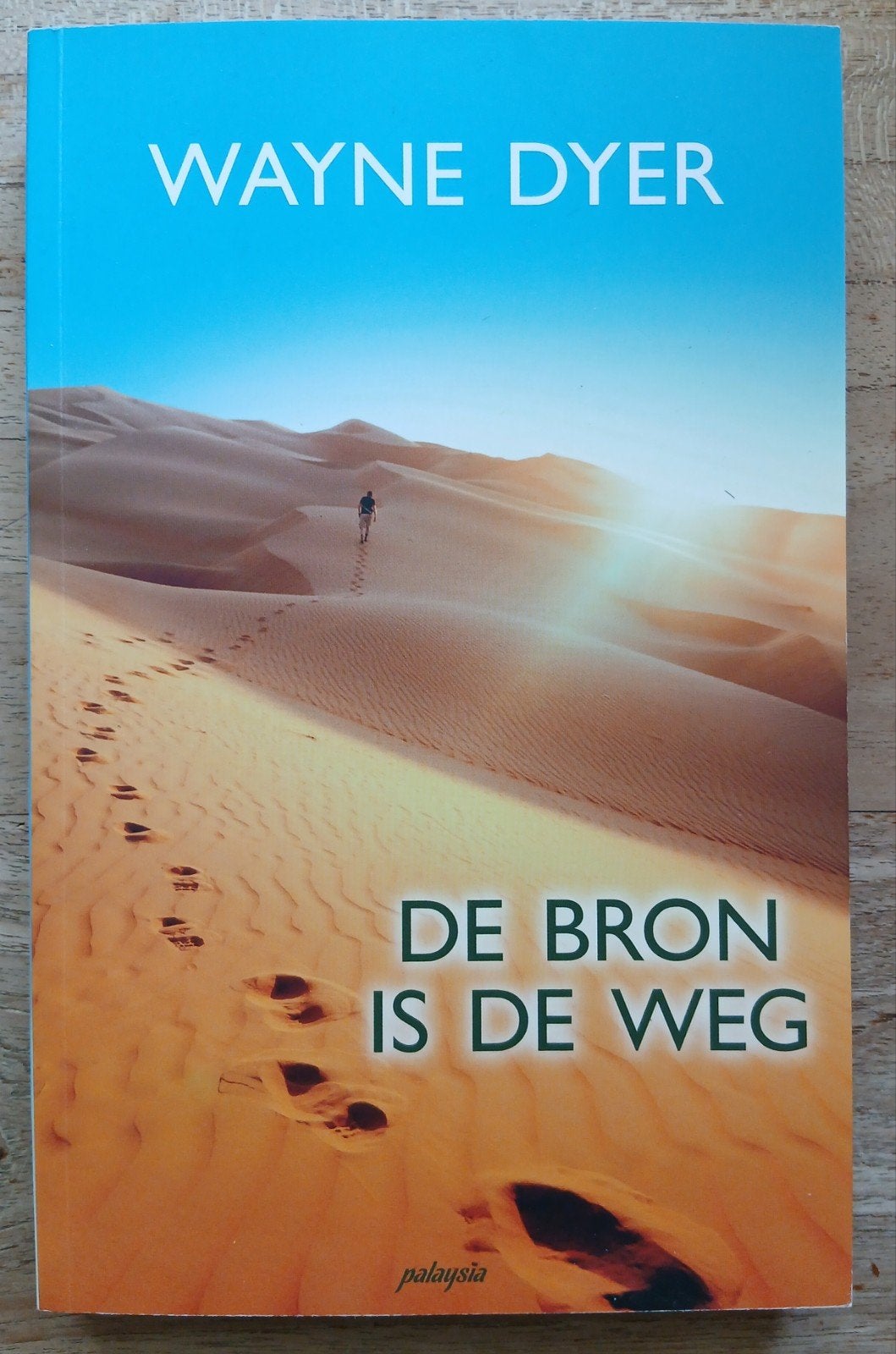 Wayne Dyer, De bron is de weg, Ophalen of Verzenden, Zo goed als nieuw