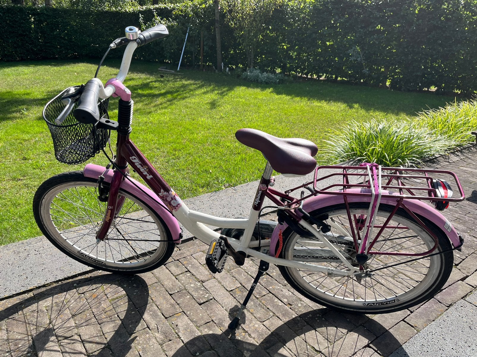Fiets meisje Alpina Twirl 22 inch meisjesfiets, Ophalen, Zo goed als nieuw, 22 inch