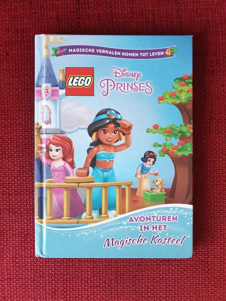 Lego Disney princes boek, Ophalen of Verzenden, Zo goed als nieuw