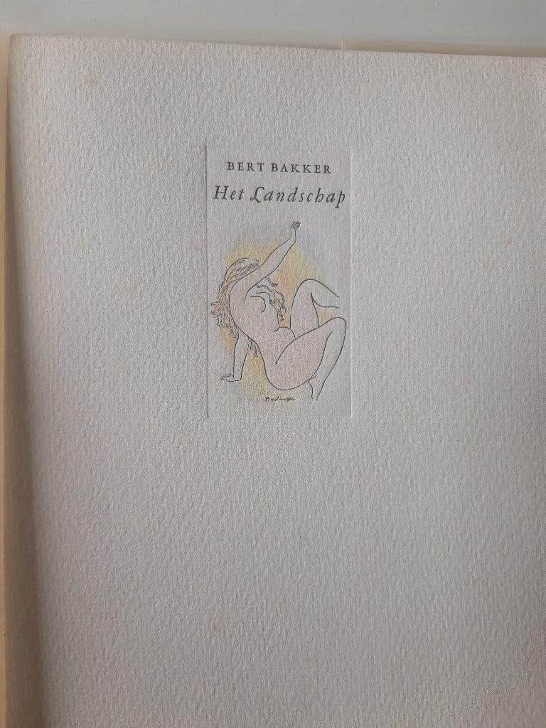 Cees Bantzinger het Landschap in zeer goede staat, Ophalen of Verzenden, Zo goed als nieuw, C.A.B. Bantzinger en Bert Bakker, Grafische vormgeving