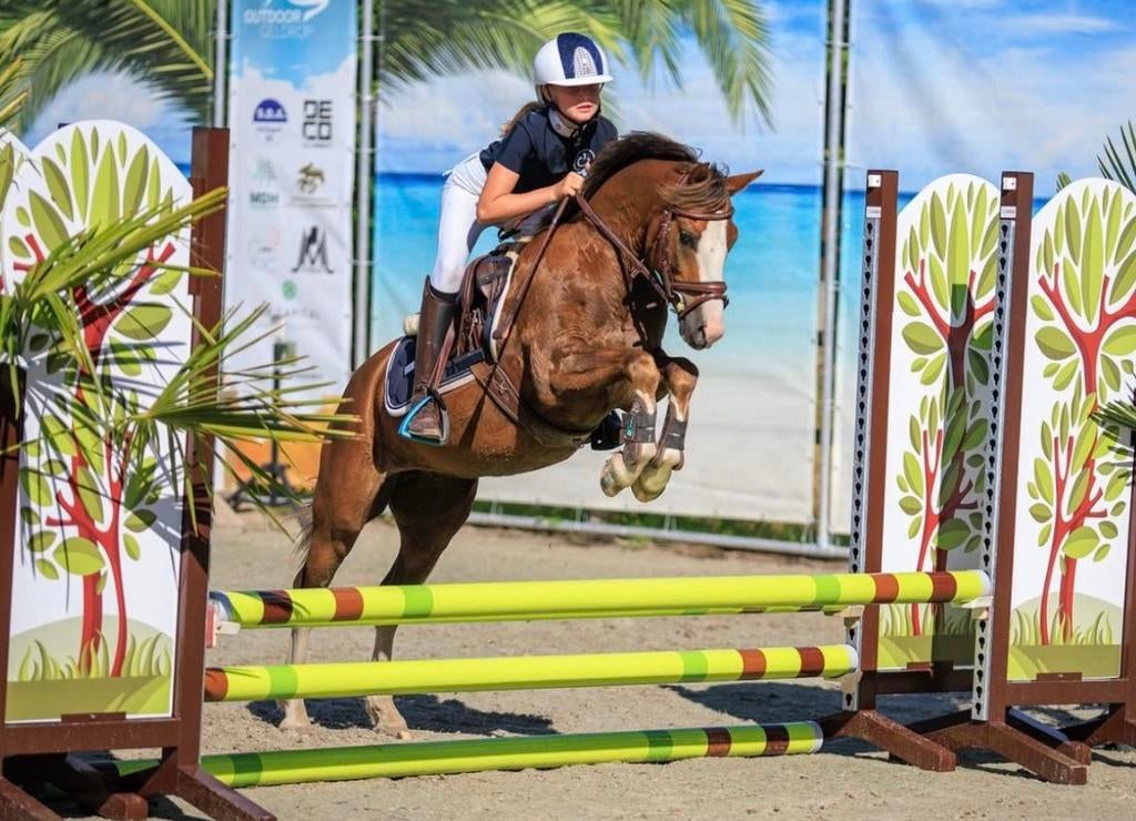 Fijne sport en kinderponys, Dieren en Toebehoren, Pony's, Gechipt, B, Ruin, Springpony