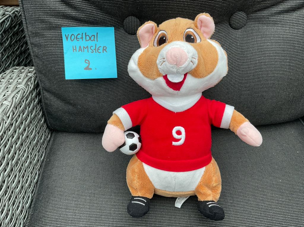 Nieuwe zgan voetbal hamster nummer 9 Albert Heijn, Albert Heijn, Ophalen