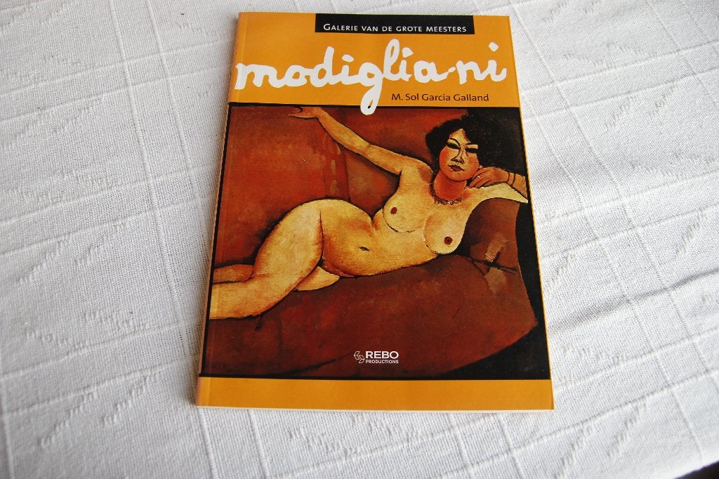 Modigliani M Sol Garcia Galland, Ophalen of Verzenden, Gelezen, Schilder- en Tekenkunst