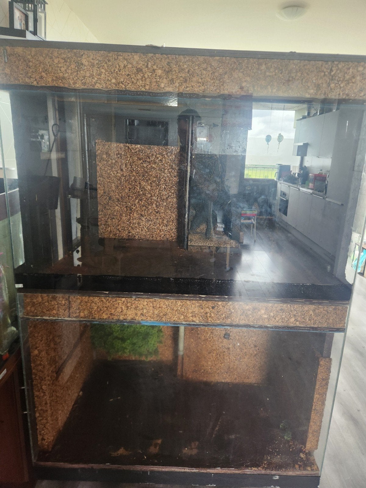 Terrarium, Dieren en Toebehoren, Reptielen en Amfibieën | Toebehoren, Ophalen