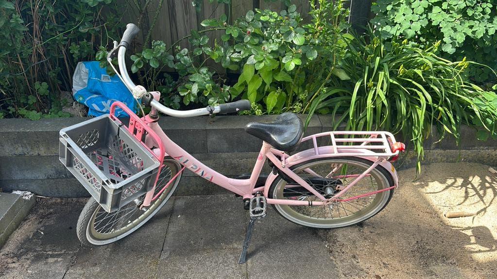 Alpina Kinderfiets roze, Ophalen, Terugtraprem, 22 inch, Gebruikt