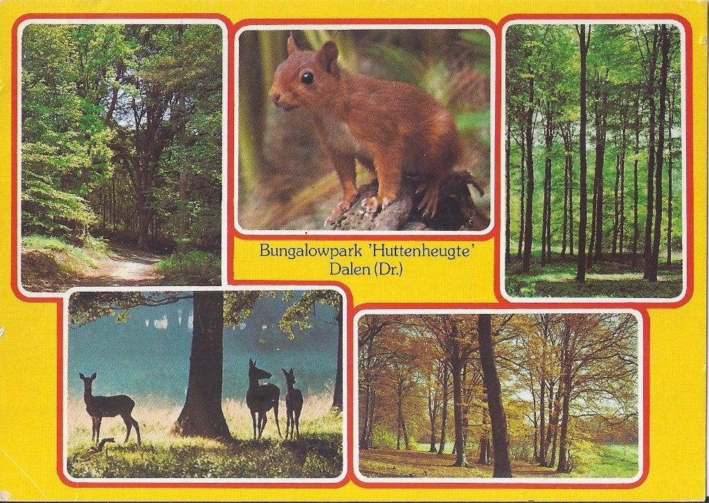 Dalen bungalowpark huttenheugte ansichtkaart a692 ) gelopen, Ophalen of Verzenden, 1980 tot heden, Gelopen