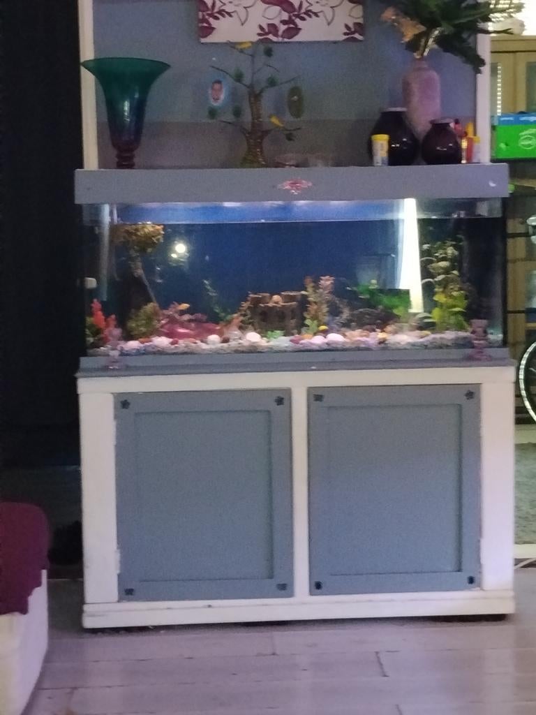 Aquarium plus kast en inhoud, Dieren en Toebehoren, Vissen | Aquaria en Toebehoren, Ophalen, Gebruikt