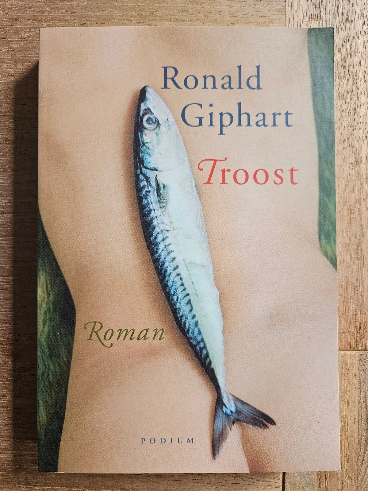 Ronald Giphart - Troost, Boeken, Literatuur, Zo goed als nieuw, Ophalen of Verzenden