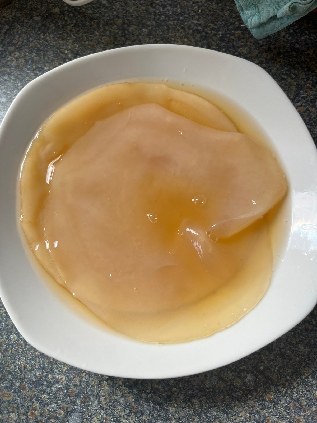 Kombucha zwam/scoby, Ophalen