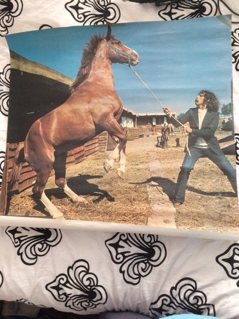 poster van een steigerend paard Lois jeans&jackets jr 70 80, Ophalen of Verzenden, Gebruikt, Overige typen