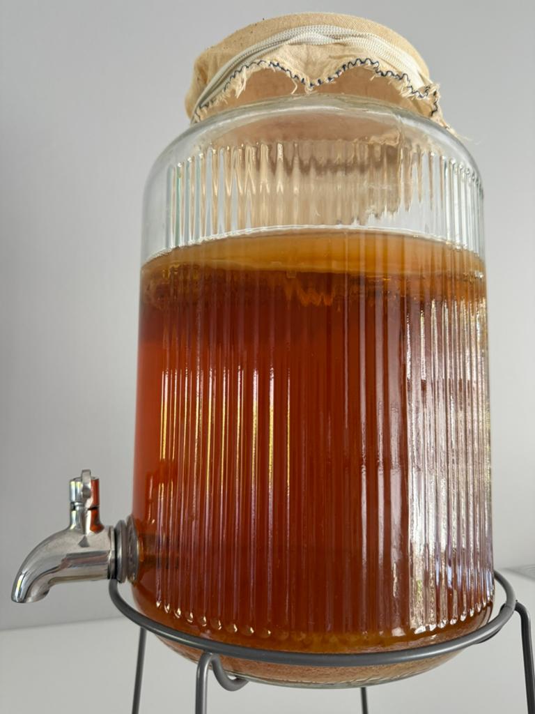 Biologische Kombucha SCOBY + startervloeistof, Ophalen