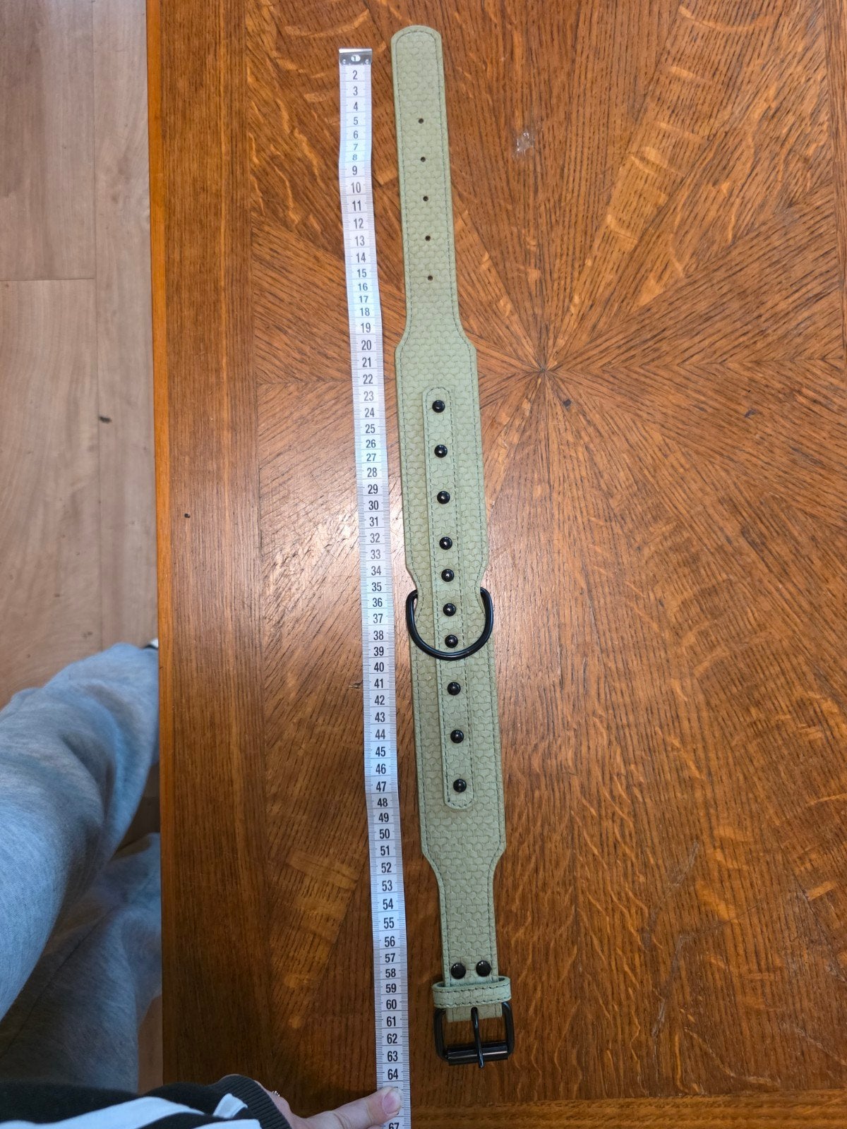 Mooie halsband voor grote hond, Ophalen of Verzenden, Nieuw