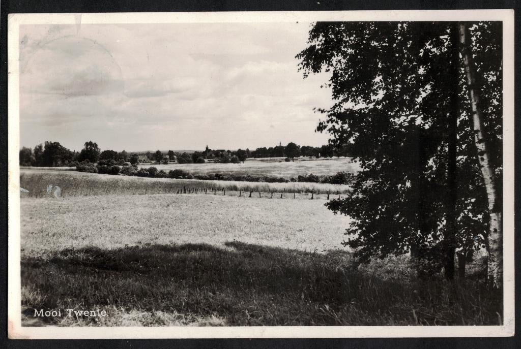 Ootmarsum Panorama, Mooi Twente. 1950., Ophalen of Verzenden, 1940 tot 1960, Gelopen, Overijssel