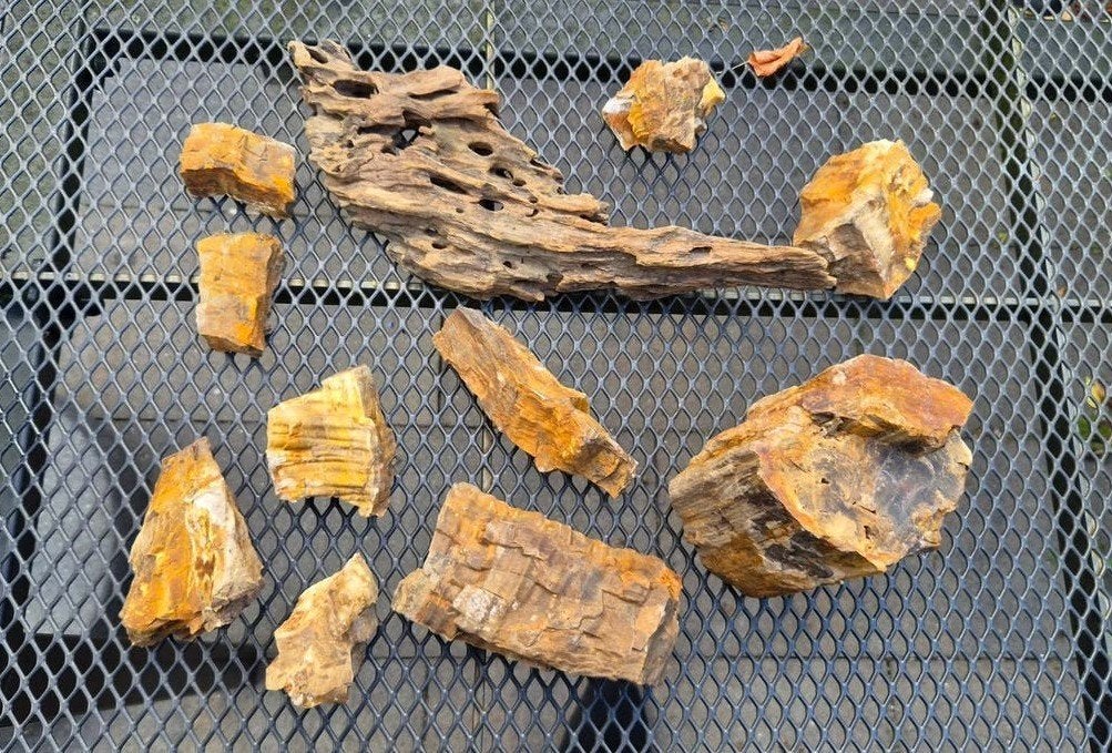Aquarium stenen (versteend hout) en 1 stuk drijfhout., Ophalen