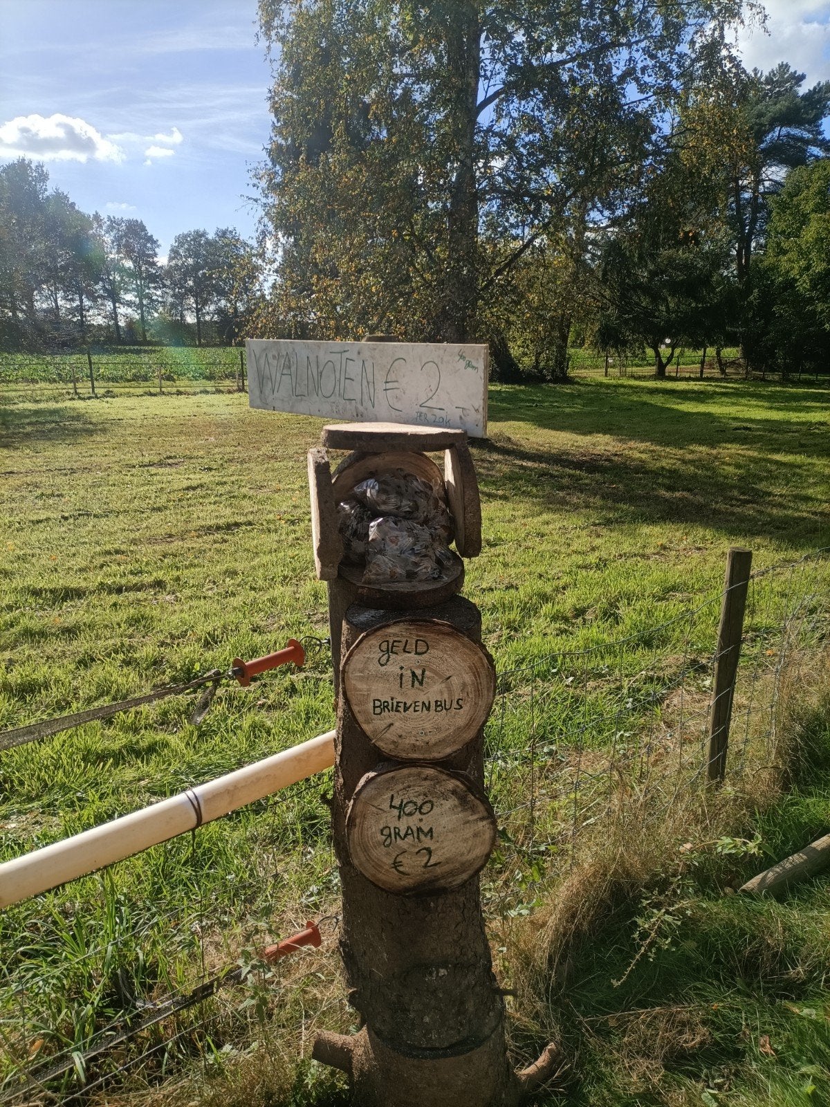 Verse walnoten - 400 gram voor €1, Ophalen of Verzenden