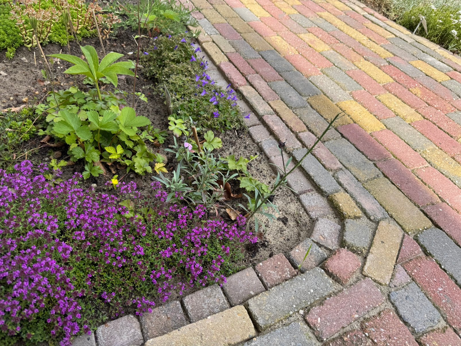 Waaltjes 15x7,5x4,5 cm | ca 3,7 m2, Tuin en Terras, Tegels en Klinkers, Gebruikt, Klinkers, Beton, Minder dan 5 m², Ophalen