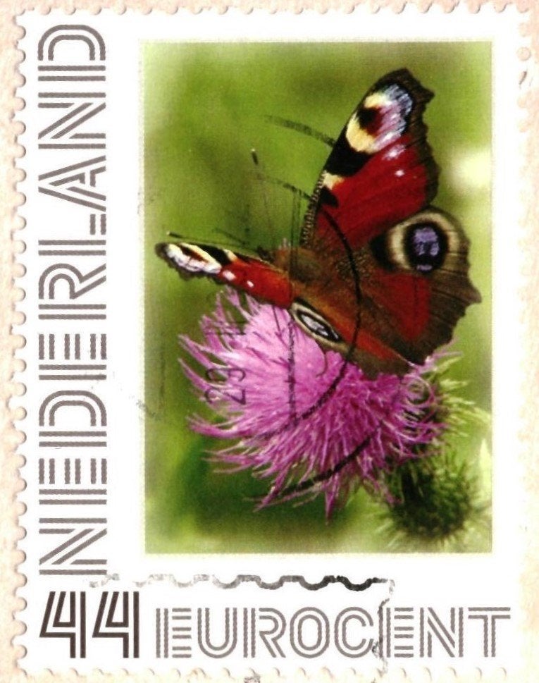 988263 Dronrijp 80+ F Drenningahof zegel Dagpauwoog Vlinder, Ophalen of Verzenden, 1980 tot heden, Gelopen, Friesland