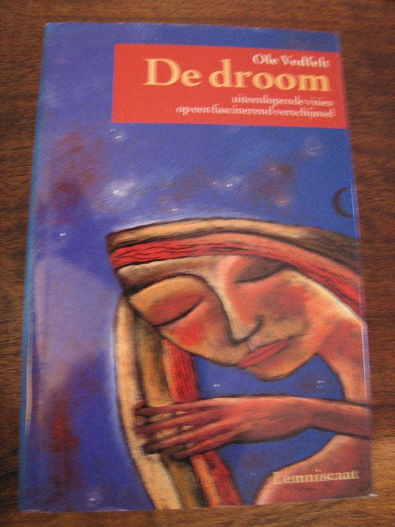 De DROOM, visie op een fascinerend verschijnsel, Ophalen of Verzenden, Zo goed als nieuw