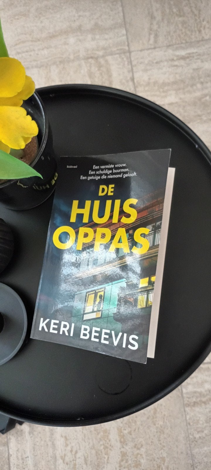 De huis oppas keri beevis, Ophalen of Verzenden, Zo goed als nieuw