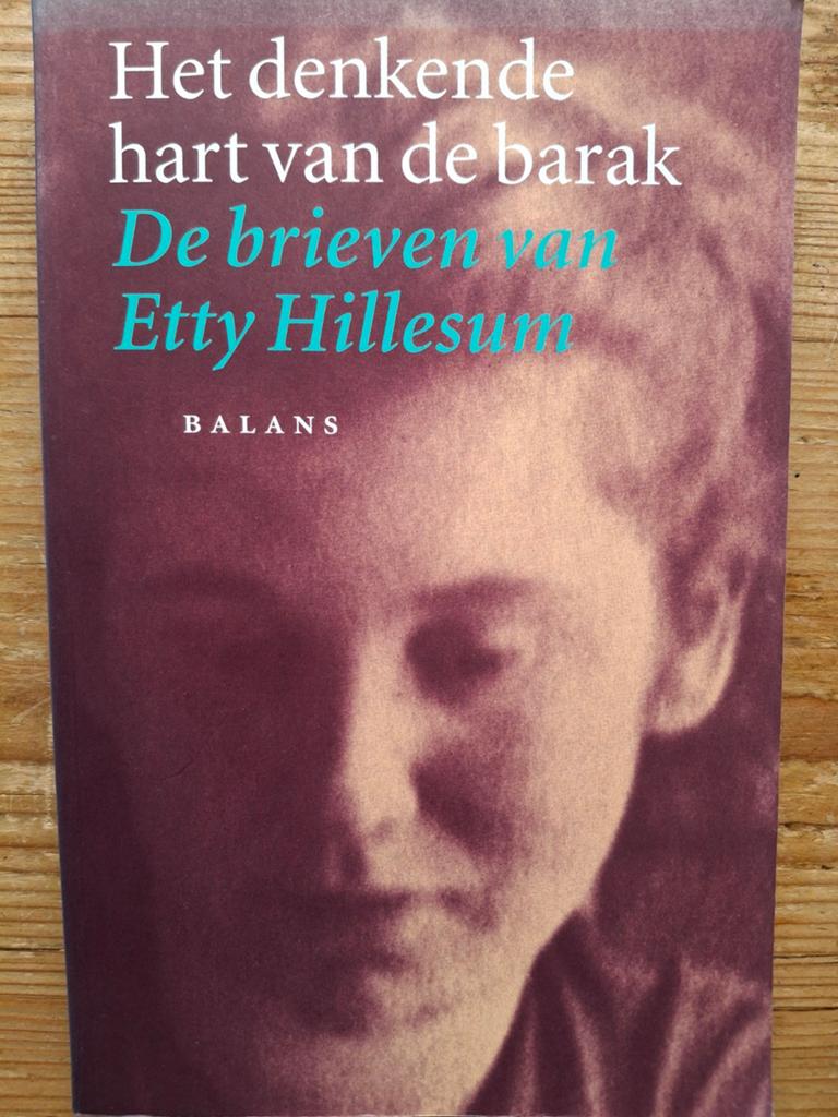 Etty Hillesum de brieven concentratiekamp Westerbork Joden, Boeken, Etty Hillesum, Ophalen of Verzenden, Overige onderwerpen, Tweede Wereldoorlog