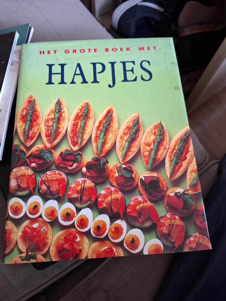 Het Grote Boek met Hapjes - Kookboek, Ophalen of Verzenden, Gelezen, Overige gebieden, Voorgerechten en Soepen