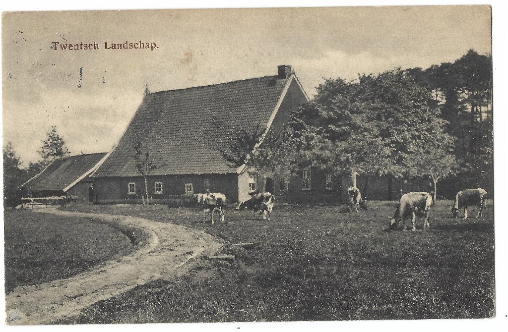 Twente, Twentsch Landschap, Ophalen of Verzenden, Voor 1920, Gelopen, Overijssel