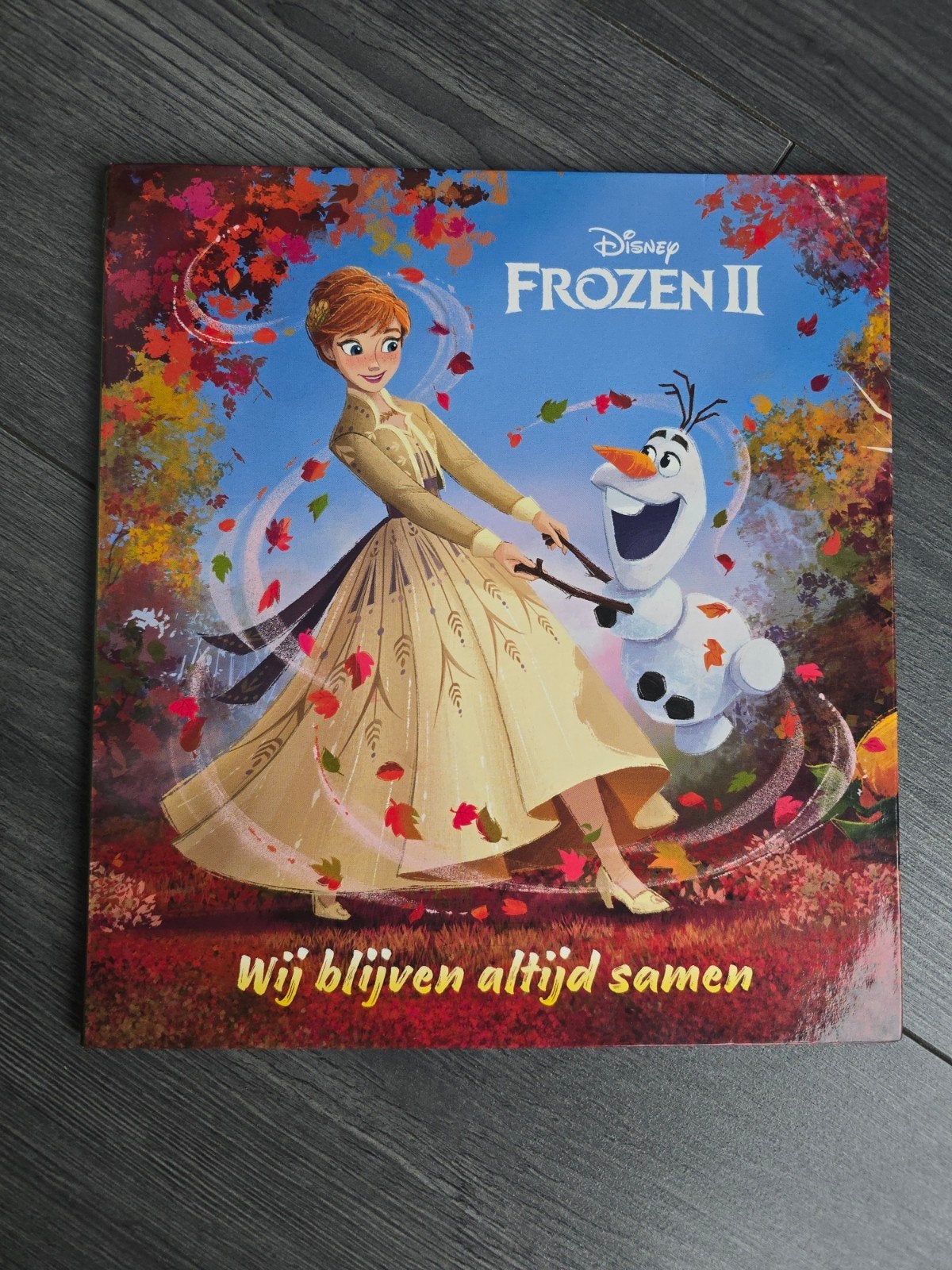 Disney Frozen II: Wij blijven altijd samen, Boeken, Jongen of Meisje, Ophalen of Verzenden, Zo goed als nieuw, Voorleesboek