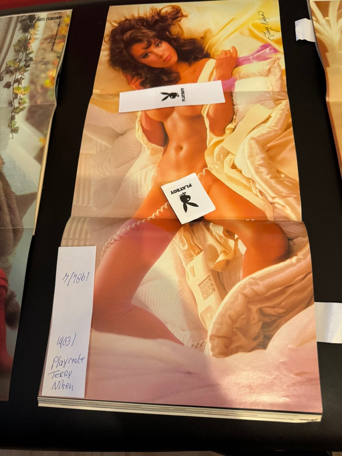 playboy middenposters 1983 7,50 per stuk, Verzenden, Zo goed als nieuw
