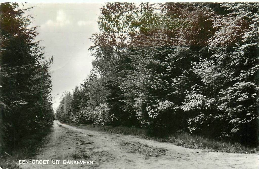 388-470-057 Bakkeveen, Verzenden, Voor 1920, Friesland