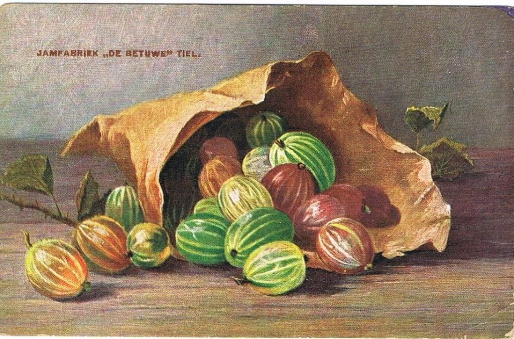 Gezocht: Fruitkaart Mij. de Betuwe 4 stuks ( zie foto's), Verzamelen, Ophalen of Verzenden, Voor 1920, Gelderland
