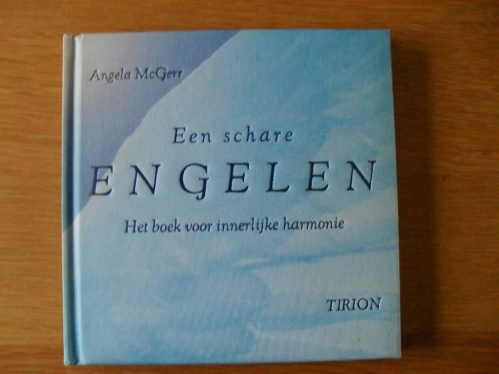 Een schare Engelen van Angela McGerr, Ophalen of Verzenden, Gelezen