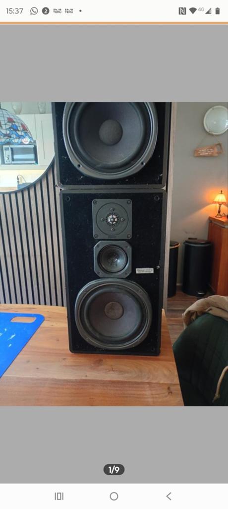 Magnat All Ribbon 5 m. speakers - Goed geluid, gebruiksspore, Audio, Tv en Foto, Luidsprekers, Ophalen of Verzenden, Gebruikt
