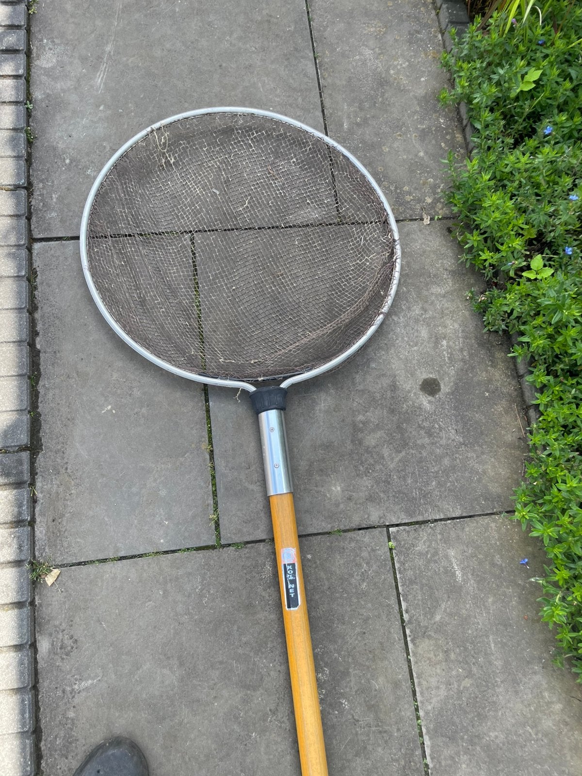Koinet 60 cm 3 meter lang, Dieren en Toebehoren, Karper of Koi