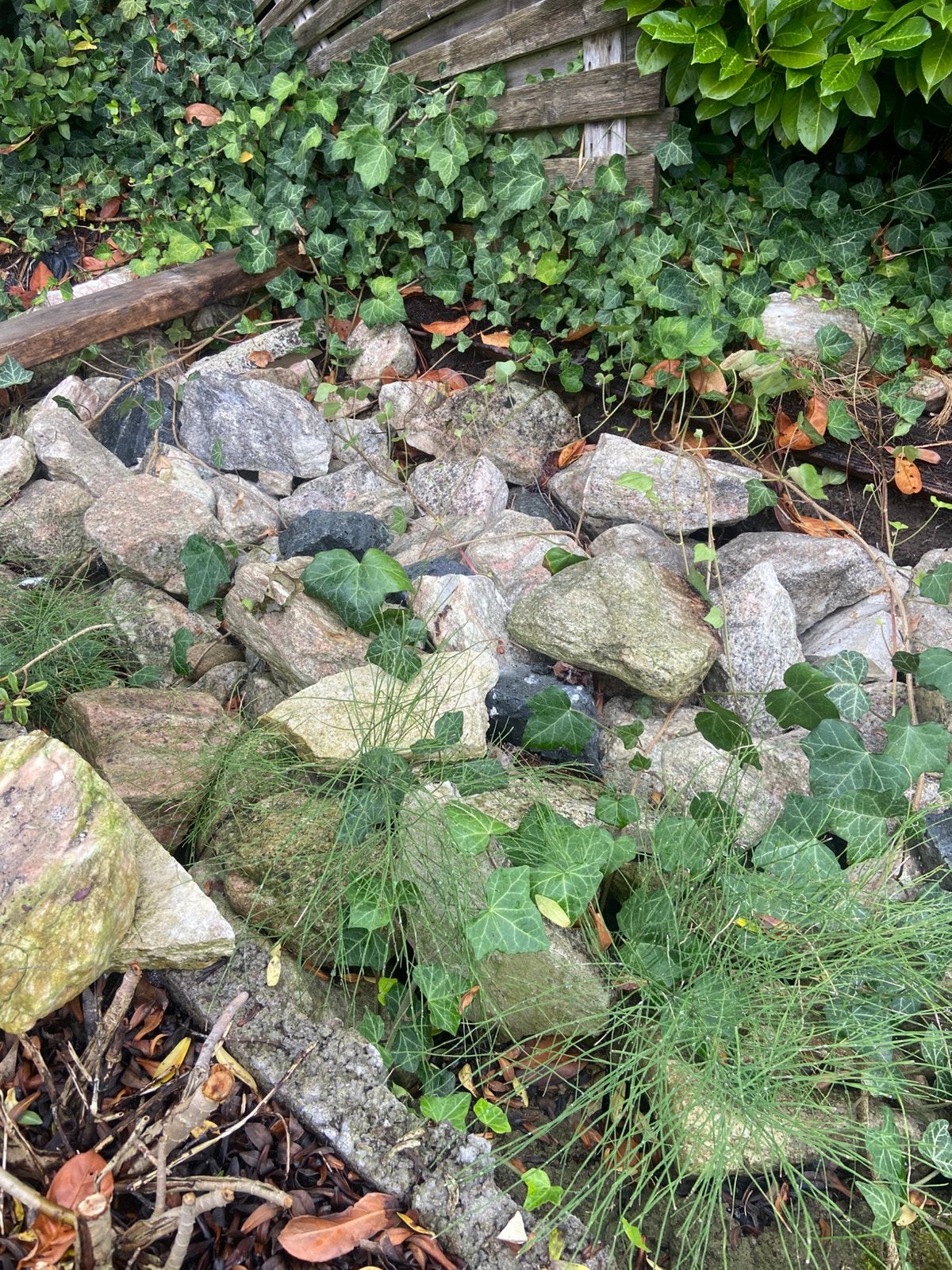 Keien voor tuin gratis afhalen, Tuin en Terras, Ophalen, Gebruikt, Kei, Leisteen