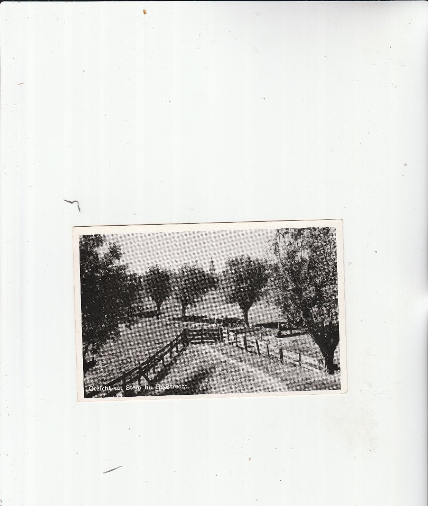 stein bij haastrecht, Ophalen of Verzenden, Friesland