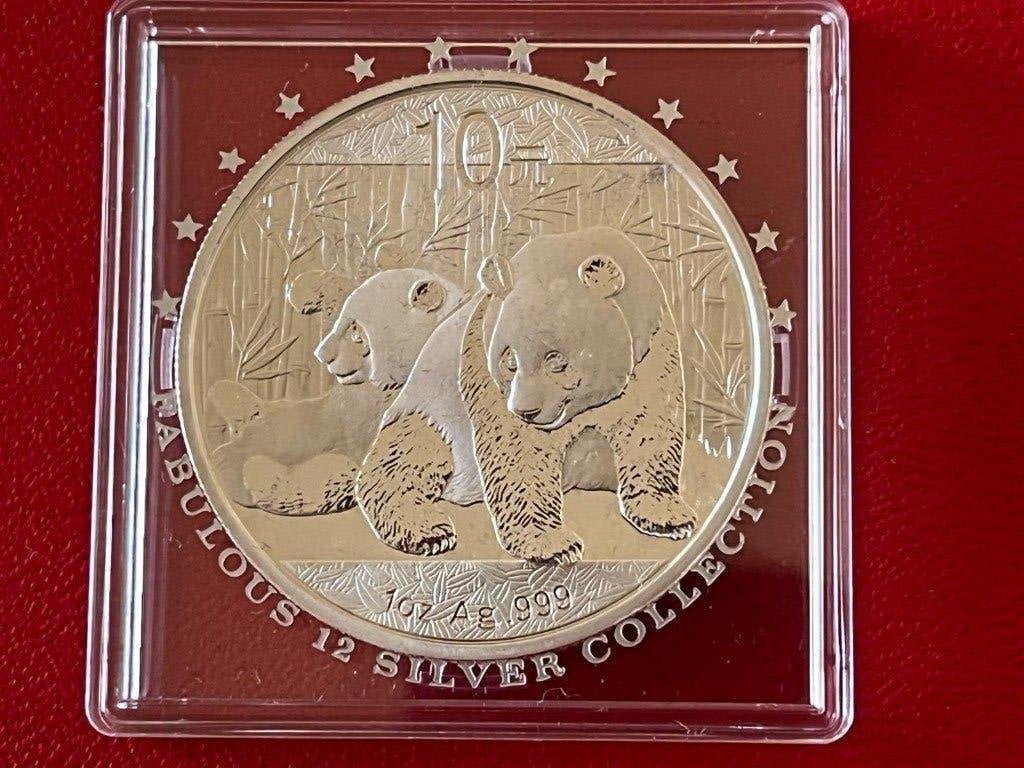 Zilveren Panda munt 2010 uit China, Ophalen of Verzenden, Zilver