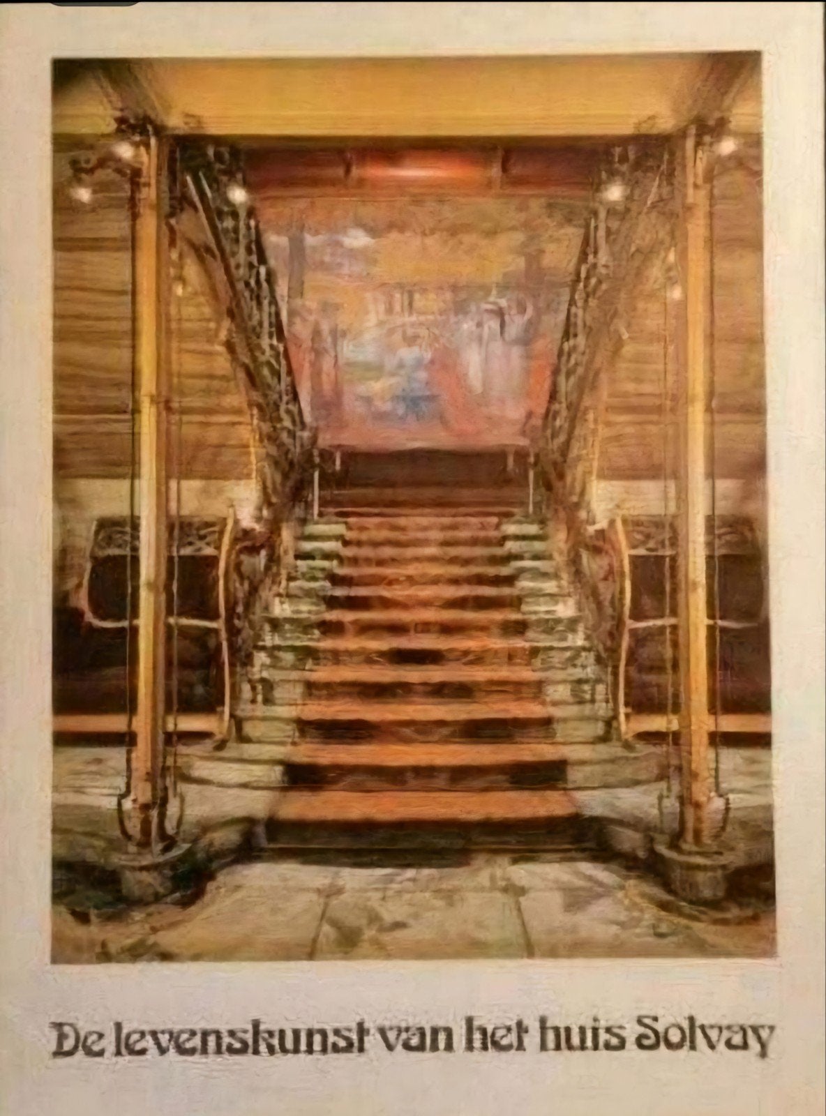 HET HUIS SOLVAY. Horta Art Nouveau XXL formaat, Boeken, Verzenden, Zo goed als nieuw, Architecten