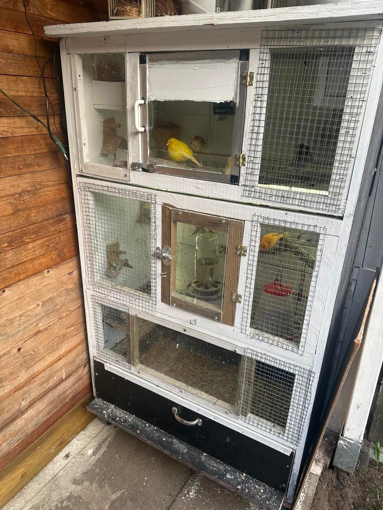 Vogelkooi Ik heb ook kanaries,, Ophalen, Metaal, Vogelkooi