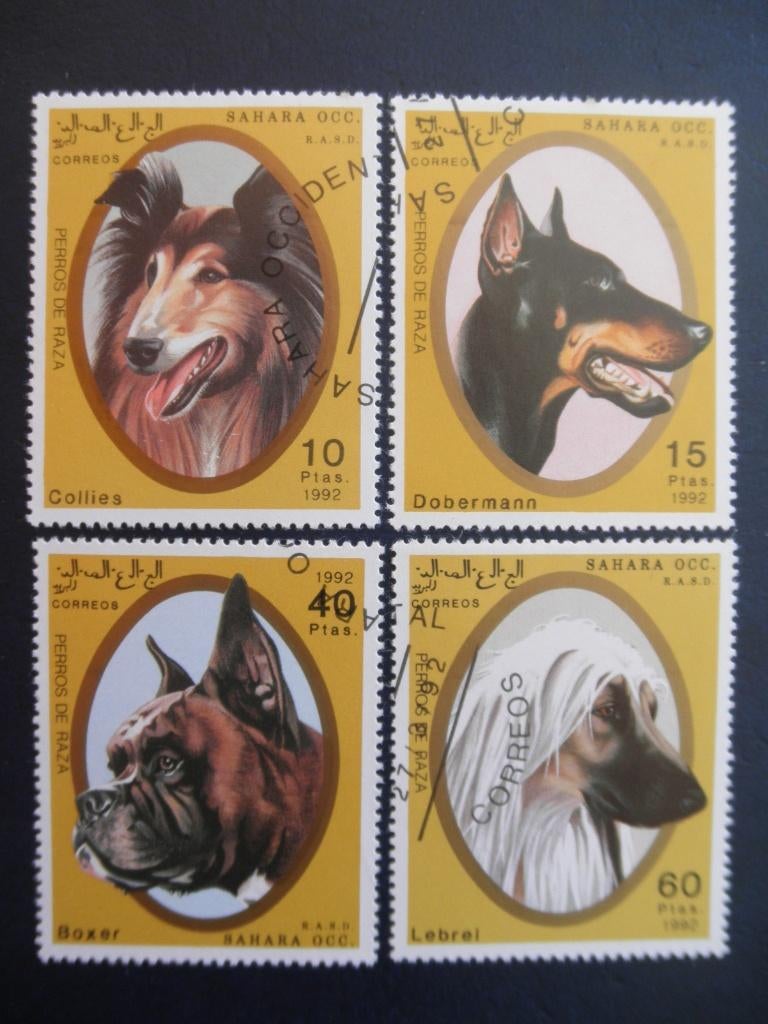 Postzegels honden Sahara 1992., Ophalen of Verzenden, Gestempeld, Dier of Natuur