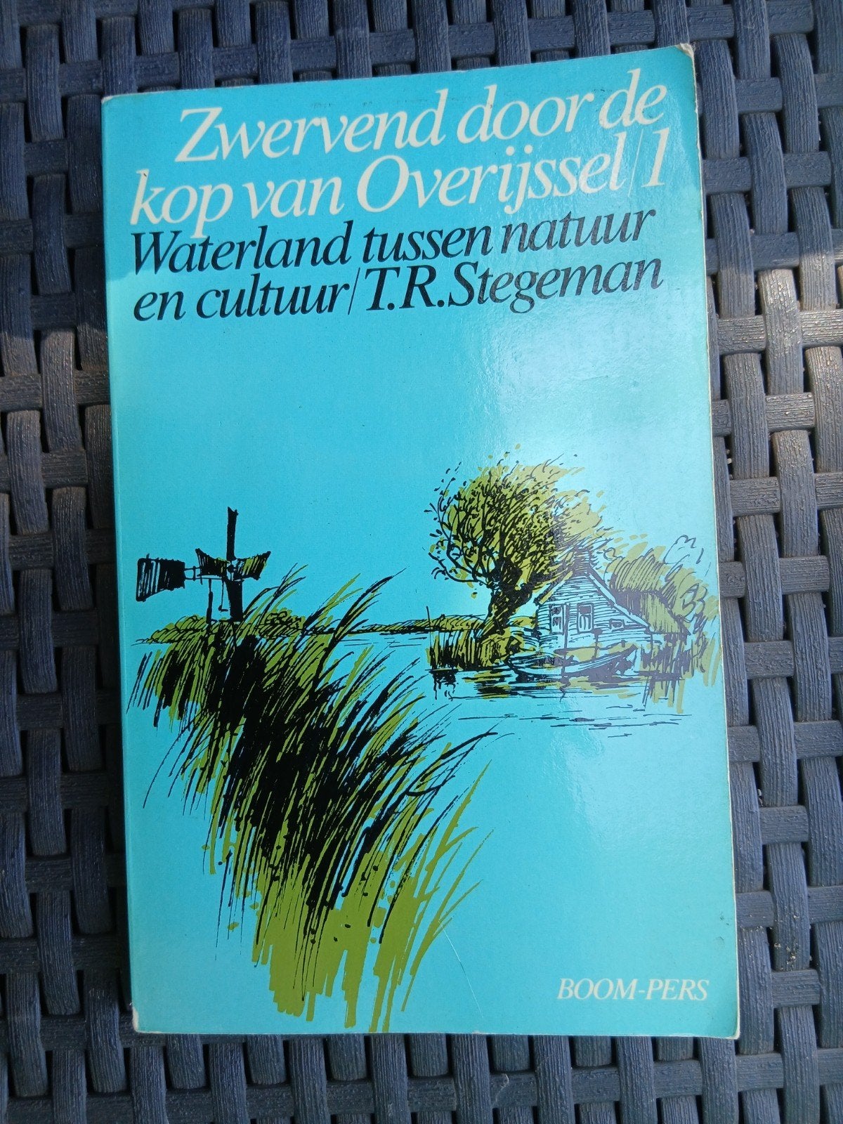 Zwervend door de kop van overijsel, Ophalen of Verzenden, T .R stegeman