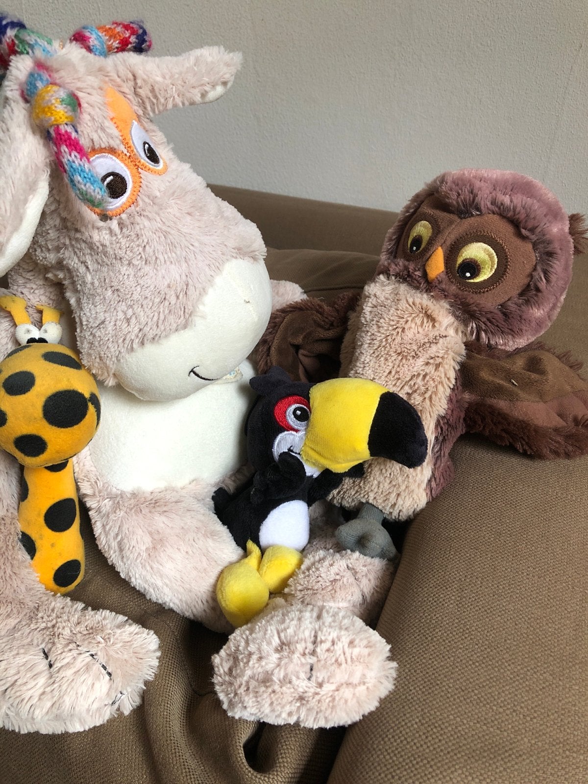 Diverse knuffels: Ezel, Uil, Toekan ien Lieveheersbeestje, Gebruikt, Overige merken, Overige karakters, Overige typen