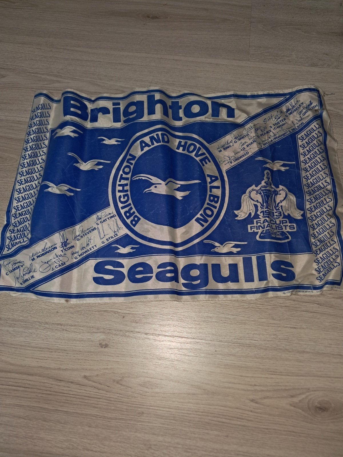 Brighton & Hove Albion vlag 1983 FA cup Seagulls, Verzamelen, Ophalen of Verzenden, Gebruikt, Buitenlandse clubs, Vaantje of Sjaal