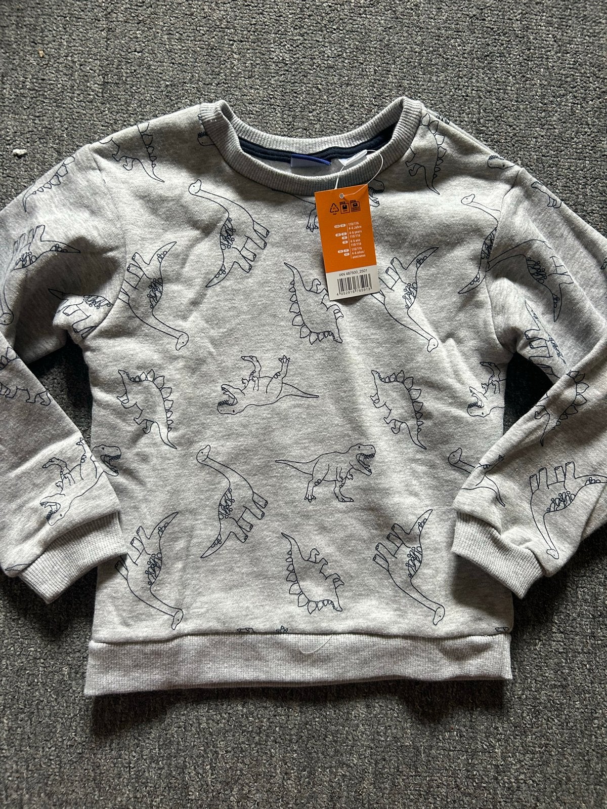 Nieuwe grijze trui met dinosaurusprint - maat 110/116, Kinderen en Baby's, Ophalen of Verzenden, Nieuw, Jongen of Meisje, Trui of Vest