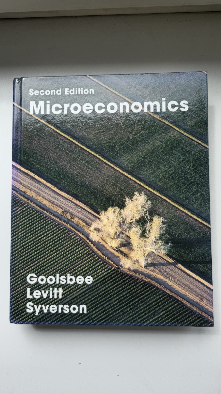 Microeconomics - Goolsbee, Levitt, Syverson (2e editie), Ophalen of Verzenden, Zo goed als nieuw, Economie en Marketing, Goolsbee, Levitt, Syverson