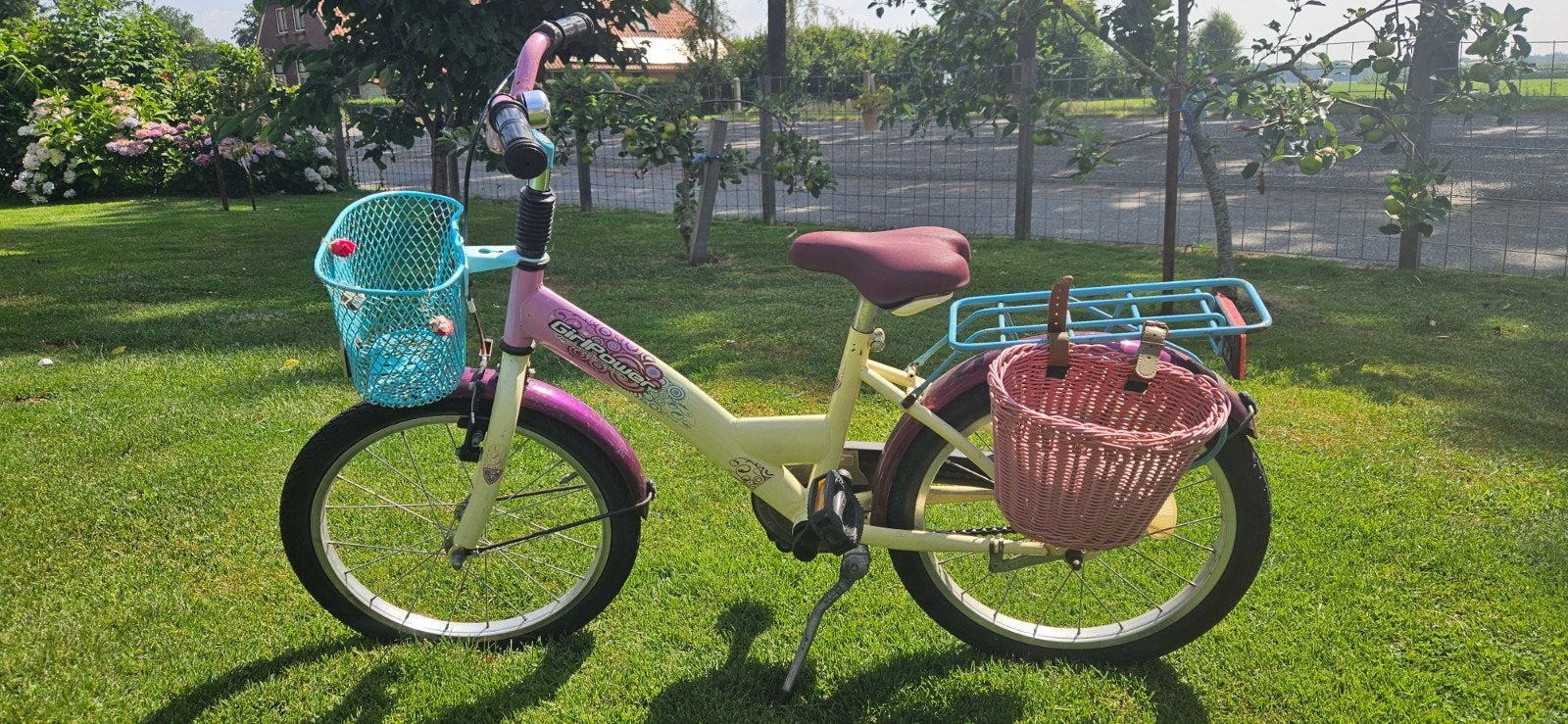 meisjes fiets 18 inch, Ophalen, Gebruikt
