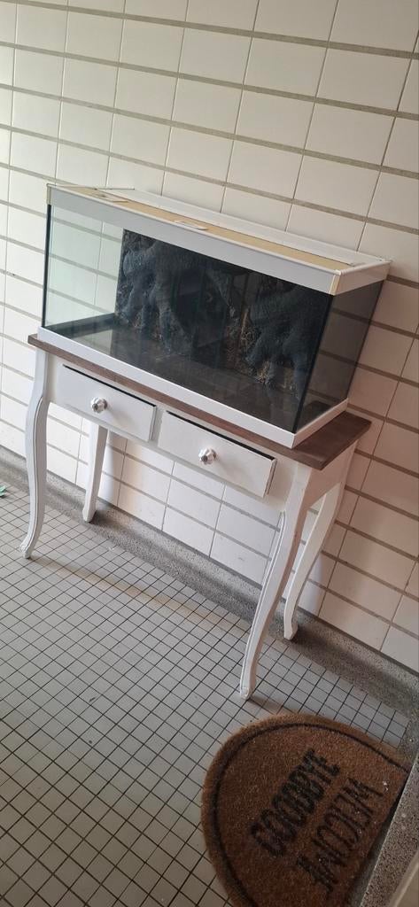 Aquarium met kastje, Ophalen of Verzenden, 25 tot 50 cm, Rechthoekig, 50 tot 100 cm