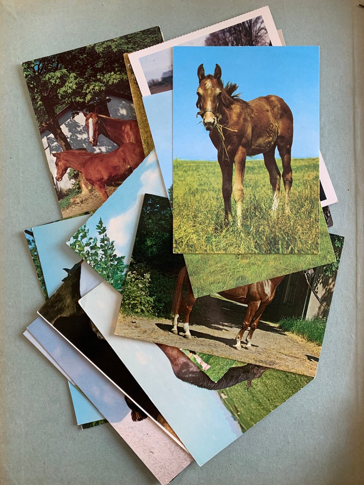 15x Paard, Ophalen of Verzenden, 1980 tot heden, Ongelopen, Paard